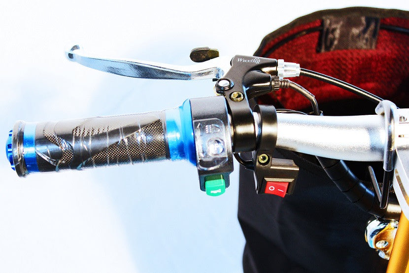 Triaxe Sport Folding Scooter