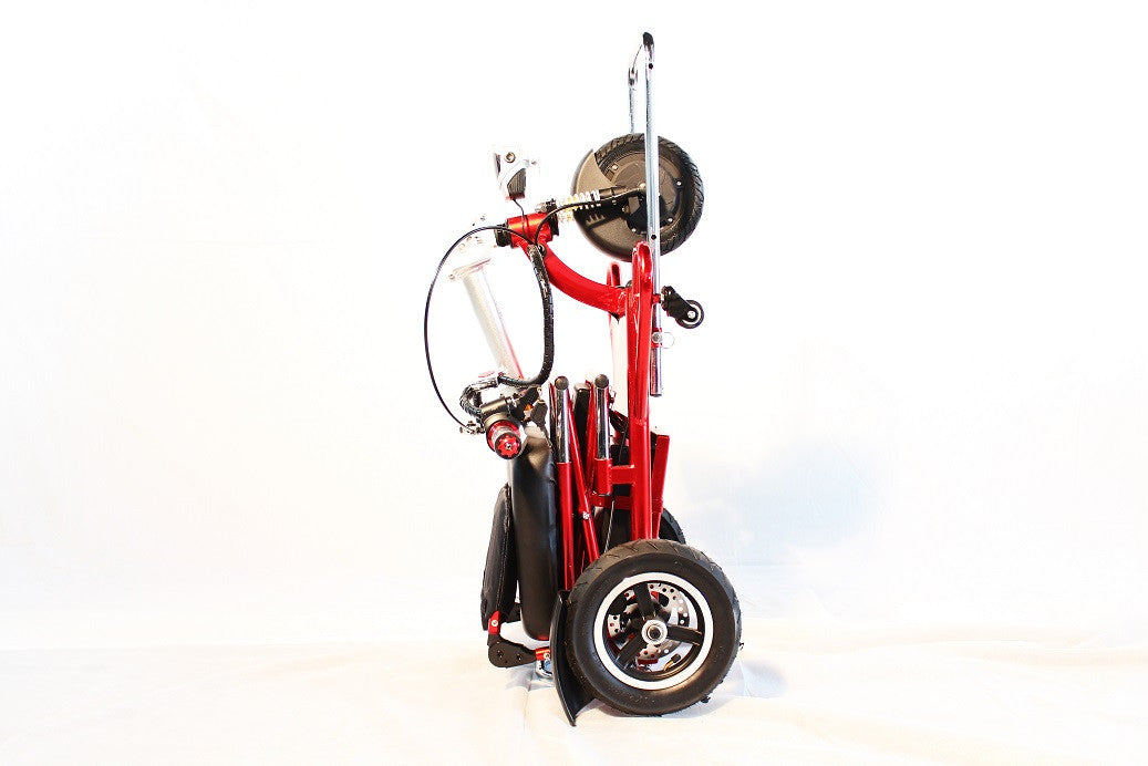 Triaxe Sport Folding Scooter